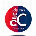 Logo CCI Paris Île-de-France